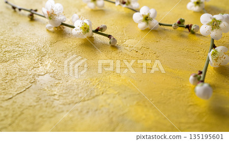 李子色背景材質紋理白色留白 135195601