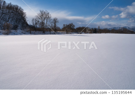 Sunny snowy field and trees Yoko Sunny snowy field and trees Yoko 135195644