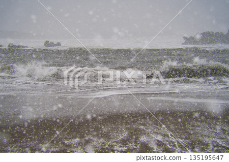 Blizzard Coast 3 Blizzard Coast 3 135195647