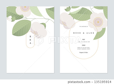 Floral wedding invitation card template design, white camellia flower and leaves Floral wedding invitation card template design, white camellia flower and leaves 135195914