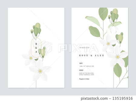 Floral wedding invitation card template design, orange jasmine flowers with leaves on white 135195916
