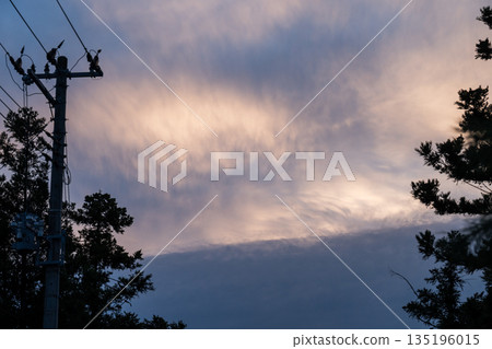 燒焦的雲_粉紅色的雲 135196015
