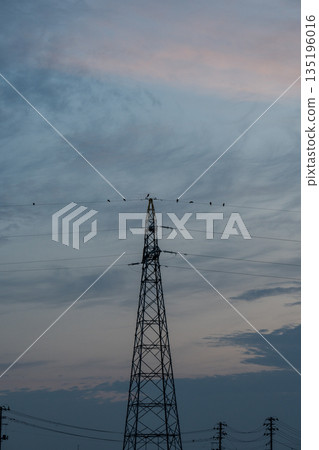鋼鐵塔樓與天空_暮色天空與烏鴉 135196016