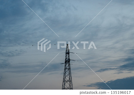 Steel tower and sky_Twilight sky and crows Steel tower and sky_Twilight sky and crows 135196017