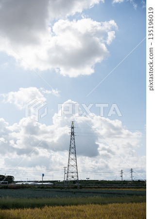 稻田中聳立著一座鋼塔，天空籠罩著夏季積雨雲。 135196019