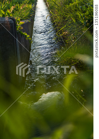 【鄉村風景】稻田旁的水道_光線 【鄉村風景】稻田旁的水道_光線 135196088