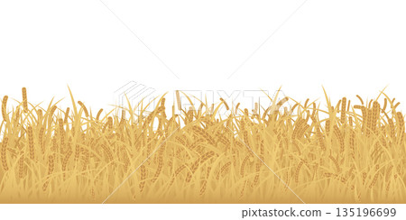 Wheat field isolated flat design graphic illustrated on white background. Rice field side view object template. Wheat field isolated flat design graphic illustrated on white background. Rice field side view object template. 135196699