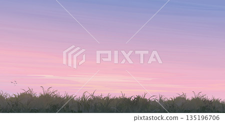 Silhouette grass field landscape graphic illustration have blank space at twilight sky background. 135196706