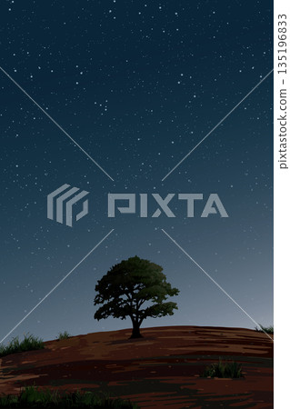 Night at minimalist hill landscape with silhouetted big tree have night sky with a lot of stars vertical background graphic illustration. 135196833