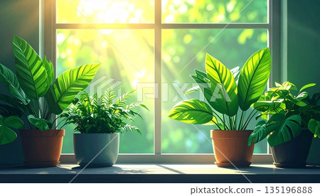 A window view with indoor plants shining in the sunlight. A background image that evokes a natural and ecological lifestyle. 135196888