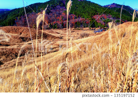 Tonomine Plateau　 135197152