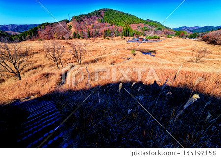 Tonomine Plateau　 135197158