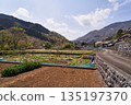 Scenery of Doshi Village, Yamanashi Prefecture 135197370