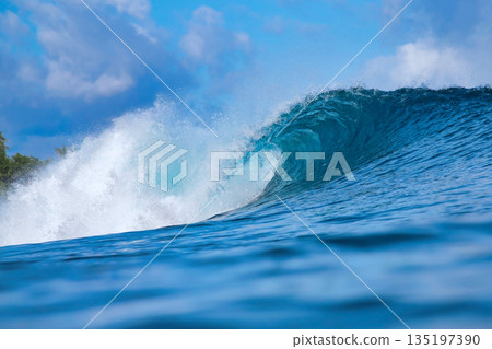 Wonderful ocean wave 135197390