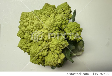 白色背景上的羅馬花椰菜 1 白色背景上的羅馬花椰菜 1 135197409