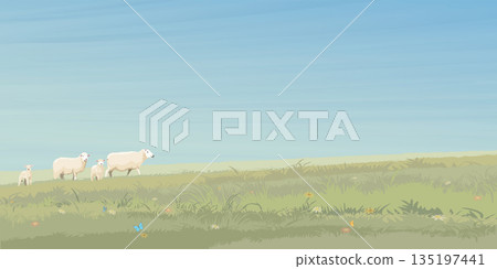 Minimalist landscape grass hill with sheep family side view graphic illustrated have blank space. 135197441
