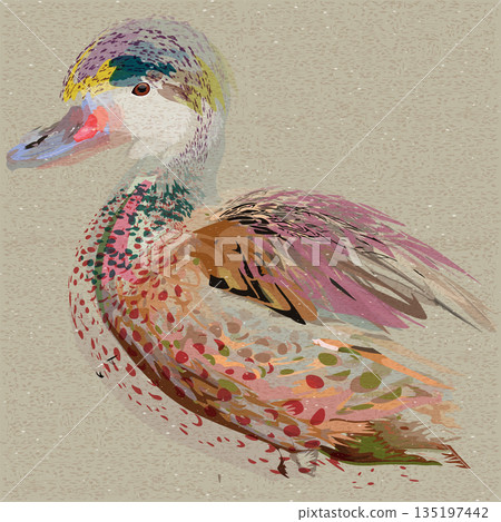 Pastel Mandarin duck surrelism overlap transparent with risograph effect graphic illustrated. 135197442