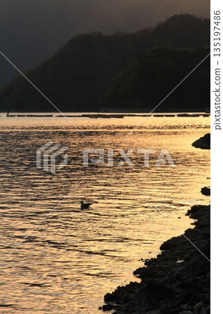 閃亮的大海 閃亮的大海 135197486