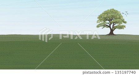 Minimalist landscape grass field with big tree flat design illustrated have blank space. 135197740