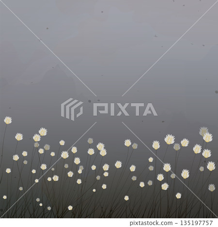 Grass flowers field graphic illustrated with abstract digital watercolors thick fog background have blank space. 135197757