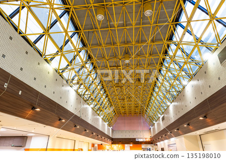 The Square Seiseki Sakuragaoka ceiling, Sekido, Tama City, Tokyo 135198010