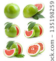 Fresh fruit assortment white background 135198259