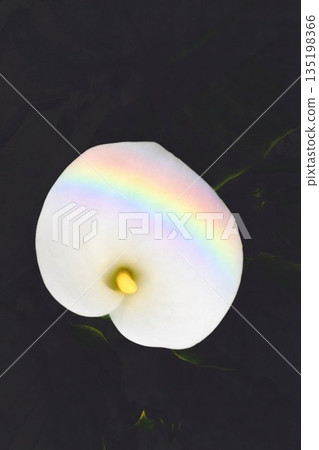 色彩和彩虹 135198366