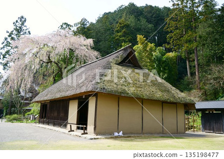 9615 原科馬家族住宅 135198477