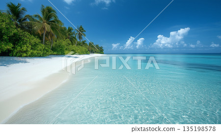 Tropical beach. Summer vacation on a tropical island with beautiful beach and palm trees. Tropical Maldives. 135198578