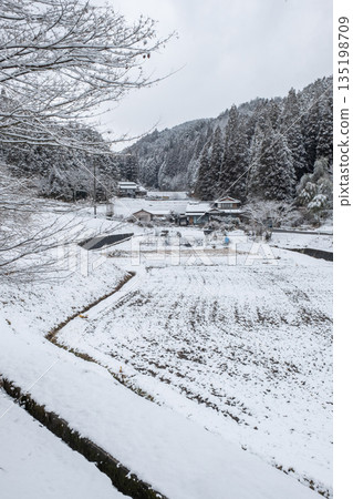 冬季農村景觀 冬季農村景觀 135198709
