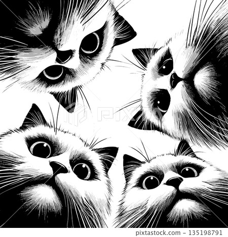 Cute Cats Looking Down vector illustration Cute Cats Looking Down vector illustration 135198791