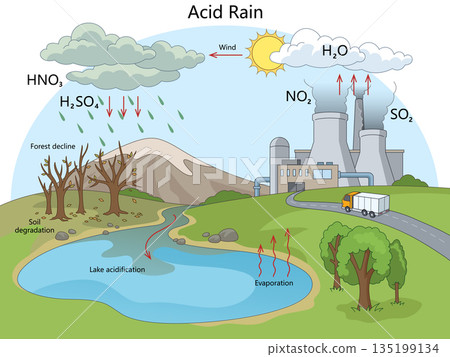 Illustration Explaining Acid Rain Formation  135199134