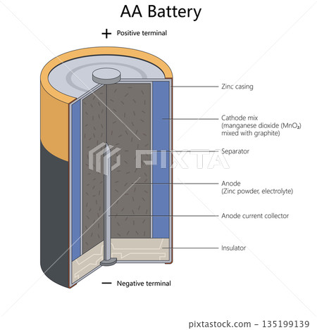 AA Battery Internal Structure and Components 135199139