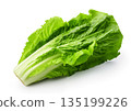 Lettuce leaves. Fresh romaine lettuce on a white background. 135199226