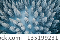 Winter forest. Beautiful snow winter landscape. Winter landscape. Beautiful wintry landscape 135199231