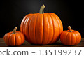 pumpkin isolated on black background. Pumpkin in darkness. Halloween concept. 135199237