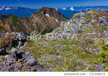 八嶽山脈高山植物競相綻放，從橫公可以遠眺阿彌陀山和中央阿爾卑斯山脈。 135199255