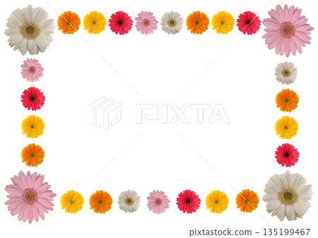 Amount of Gerbera 135199467
