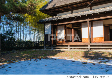 Bamboo forest and snow scene 135199496