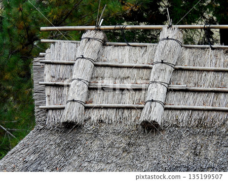 Thatched roof tangible folk cultural property 135199507