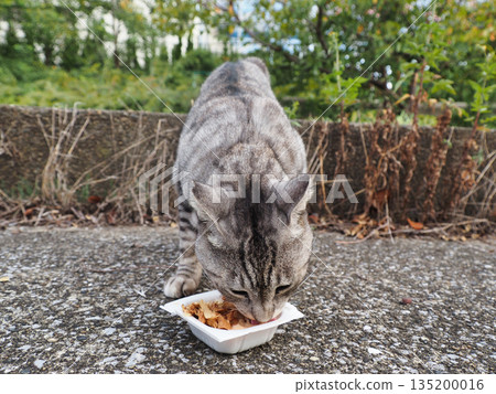 Food Cat Food Cat 135200016