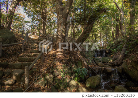 Susono City Central Park, Susono City, Shizuoka Prefecture 135200130