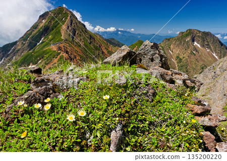 八嶽山脈、橫嶽山脊上的蝶之助莊、赤岳和阿彌陀山 135200220