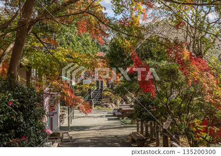 Susono City Central Park, Susono City, Shizuoka Prefecture Susono City Central Park, Susono City, Shizuoka Prefecture 135200300