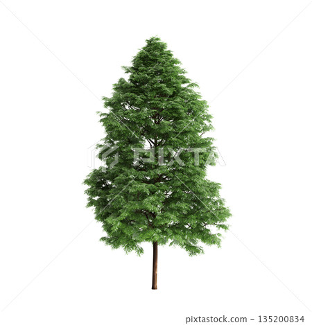 Pogonatherum crinitum bush plants 3d illustration on transparent background 135200834