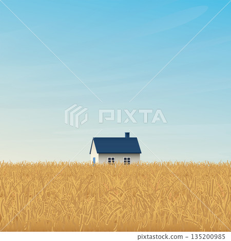 Wheat field with country house and blue sky square background vector illustration have blank space. Countryside background with gold colors barley field. 135200985