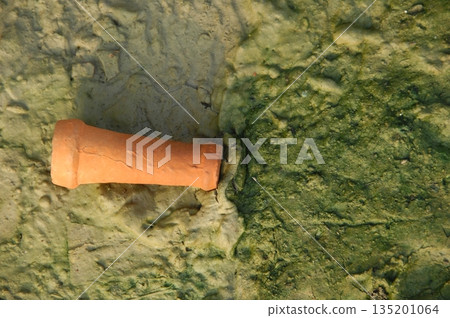 Antiques in the Beach rural village India 135201064