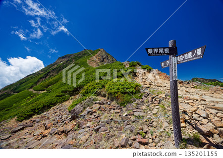 The summit of Akadake in the Yatsugatake mountain range seen from near Tenboso 135201155