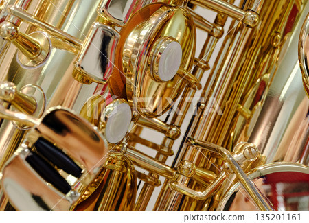 Generic valved brass musical instrument Generic valved brass musical instrument 135201161