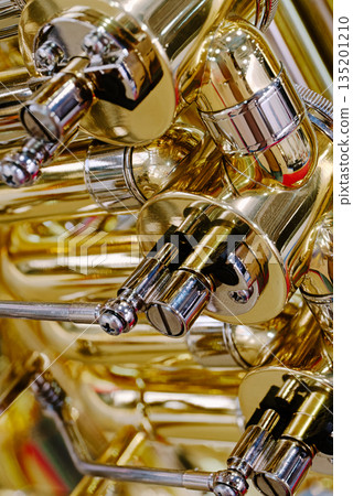 Generic valved brass musical instrument 135201210